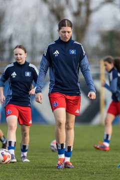 Bild 42 - wBJ Hamburger SV - Eimsbuettler TV : Ergebnis: 4:0